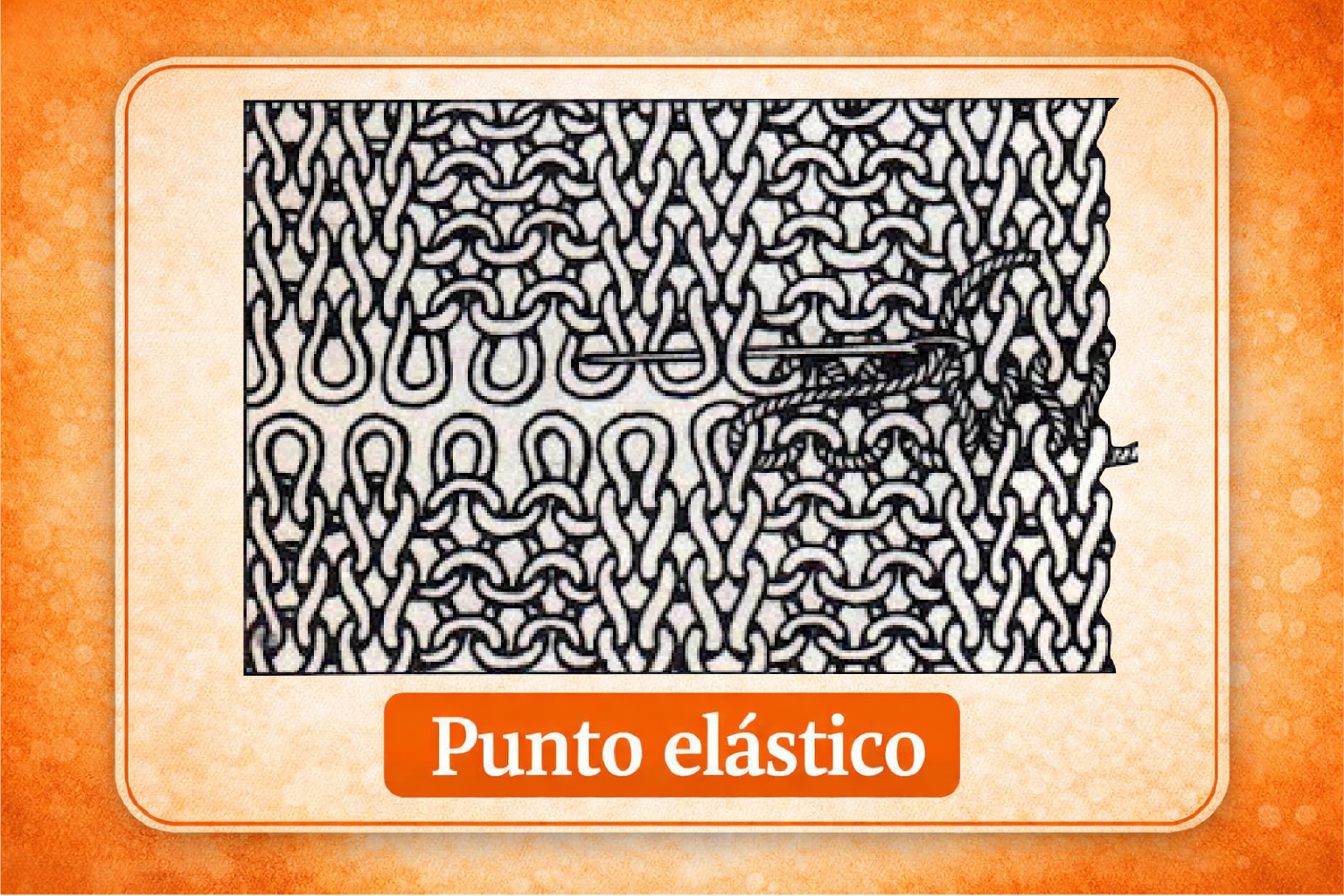 4- Punto Elastico